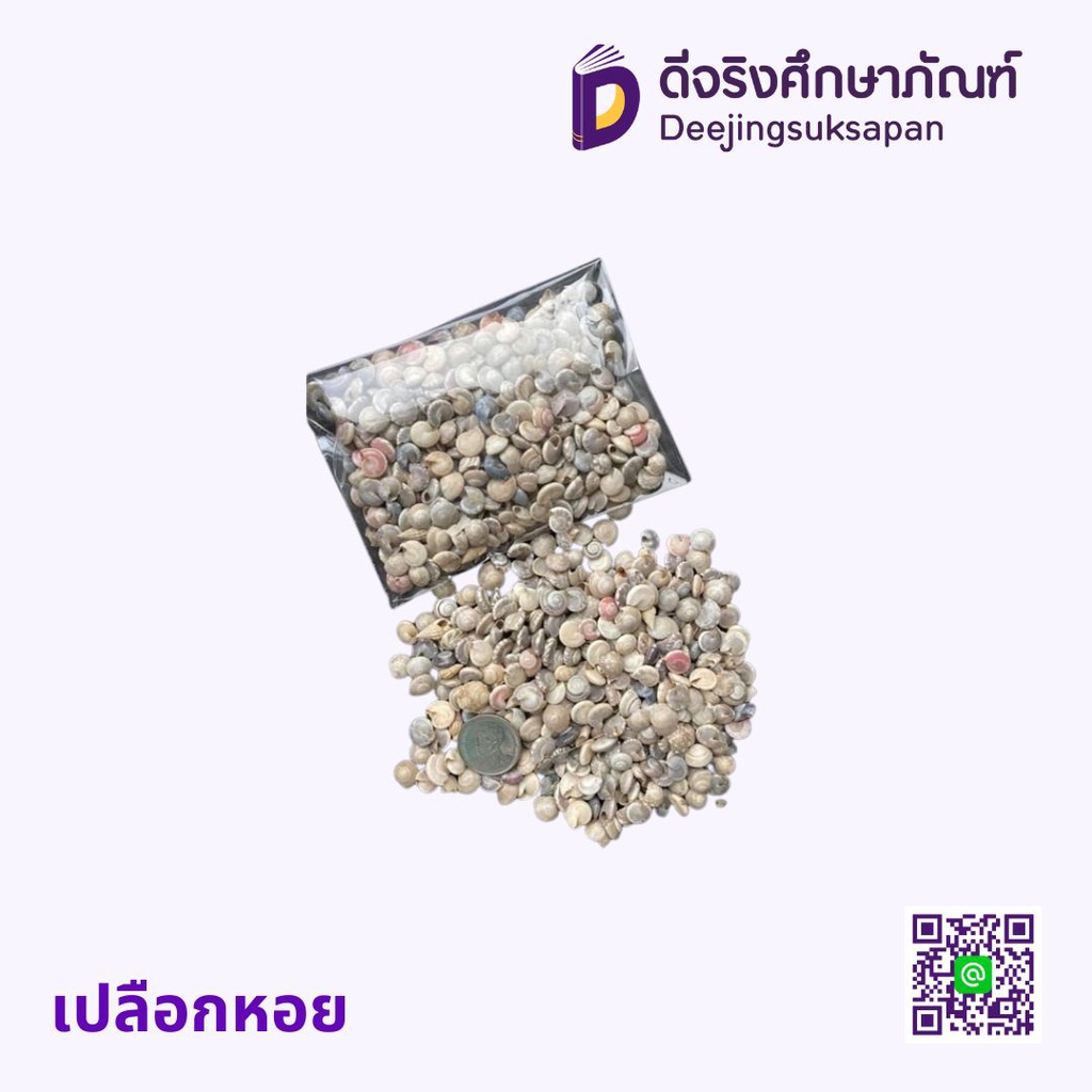 เปลือกหอย 15 กรัม