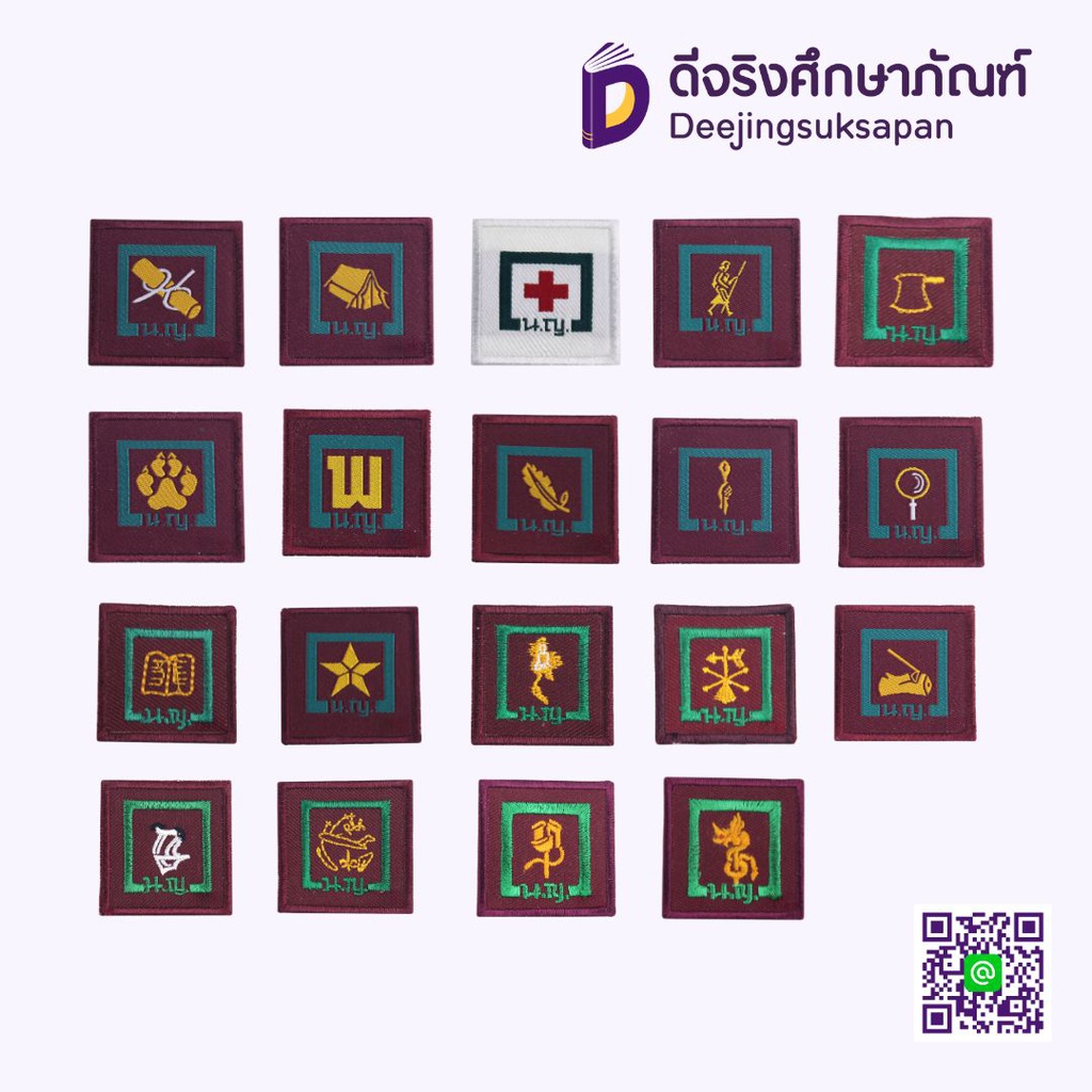 เครื่องหมายวิชาชีพพิเศษ เนตรนารีสามัญรุ่นใหญ่