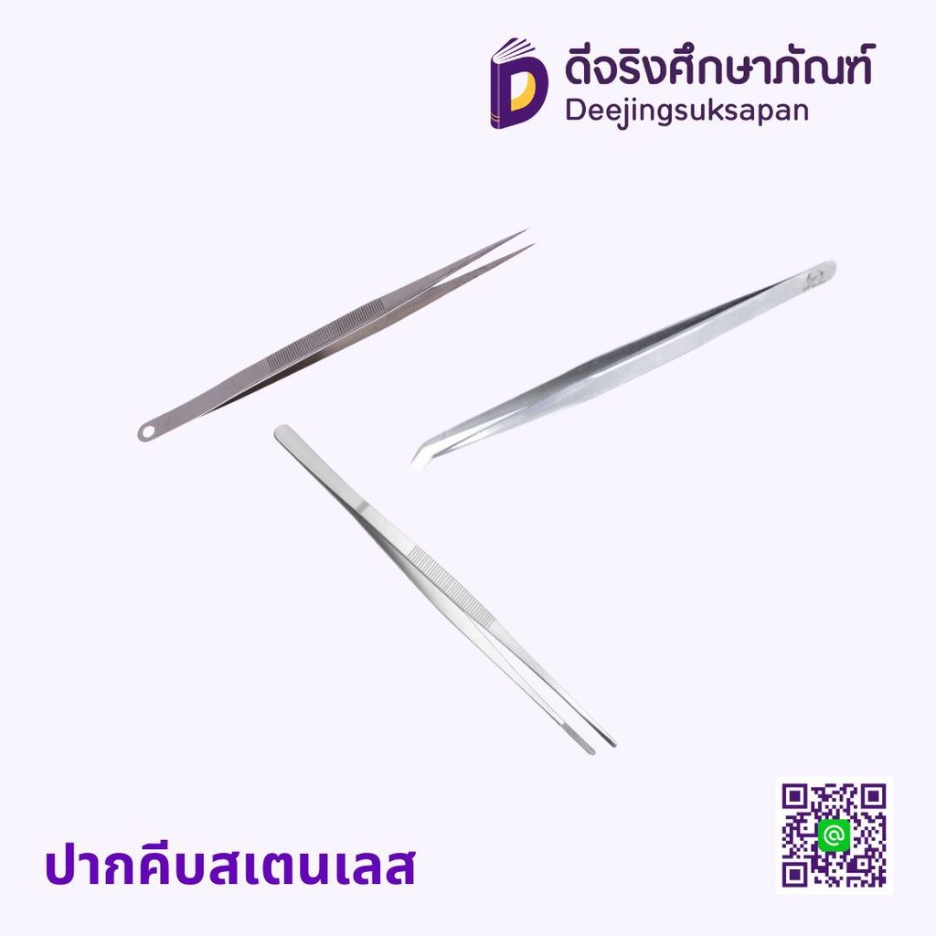 ปากคีบสเตนเลส