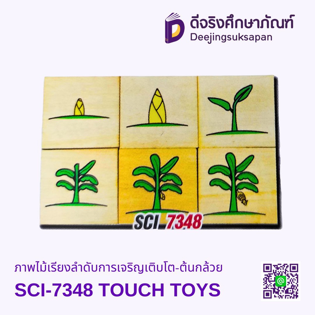 ภาพไม้เรียงลำดับการเจริญเติบโต-ต้นกล้วย SCI-7348 TOUCH TOYS