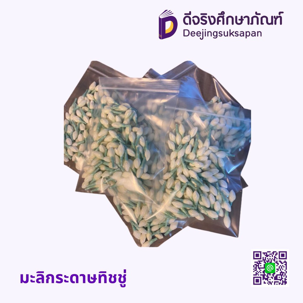 มะลิกระดาษทิชชู