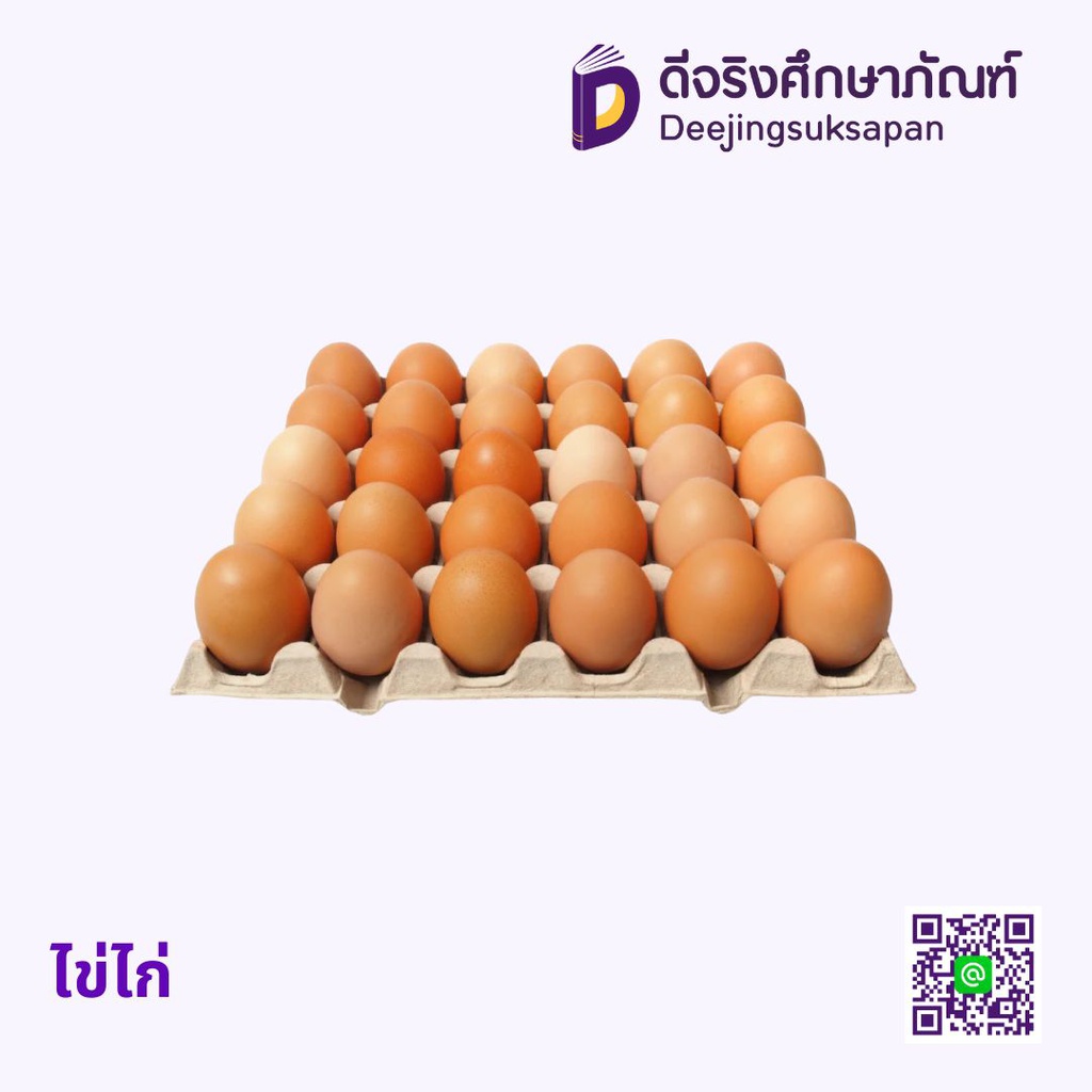 ไข่ไก่