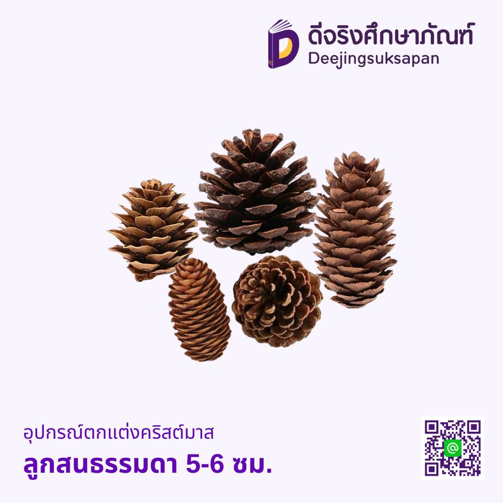 อุปกรณ์ตกแต่งคริสต์มาส ลูกสน