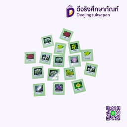 เกมจับคู่ภาพเหมือน ดอกไม้อาเซียน
