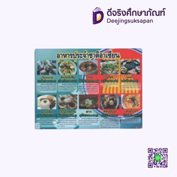 [AS013] สื่อการสอนฟิวเจอร์บอร์ด อาหารประจำชาติอาเซียน I PLAY