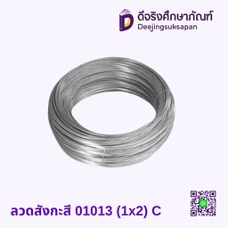 ลวดสังกะสี 01013