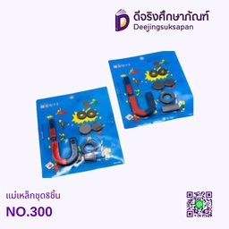 แม่เหล็กชุด8ชิ้น NO.300