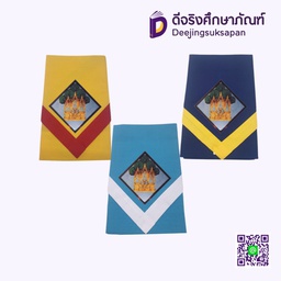 ผ้าพันคอลูกเสือสำรอง ปักตราจังหวัดพระนครศรีอยุธยา BEE