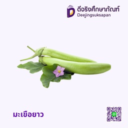 มะเขือยาว
