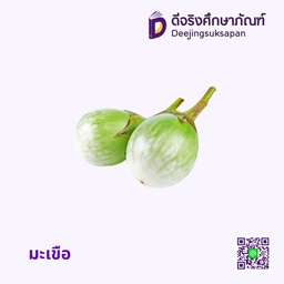 มะเขือ