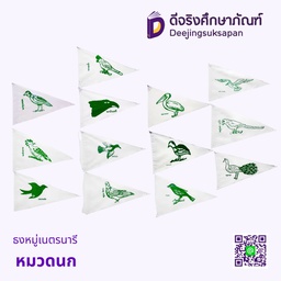 ธงหมู่เนตรนารีสามัญรุ่นใหญ่