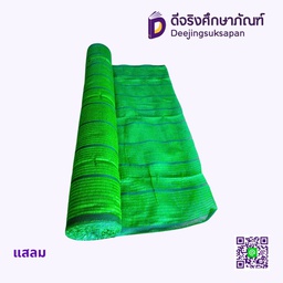 แสลม 100x10 m.