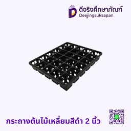 กระถางต้นไม้เหลี่ยมสีดำ 2 นิ้ว