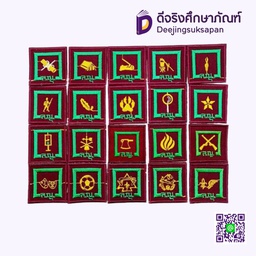 เครื่องหมายวิชาชีพพิเศษ ลูกเสือสามัญรุ่นใหญ่