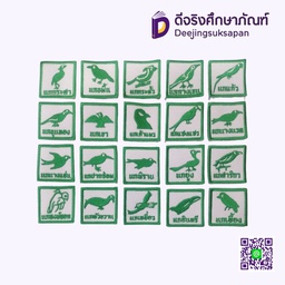 ซีกหมู่นก เนตรนารีสามัญรุ่นใหญ่