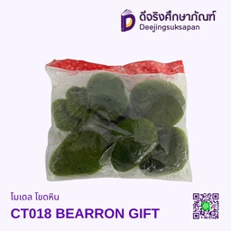 โมเดล โขดหิน CT018 BEARRON GIFT
