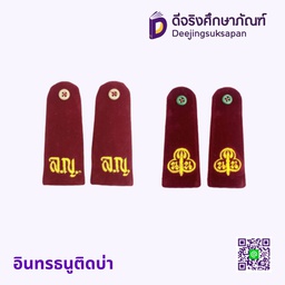 อินทรธนูติดบ่า BEE