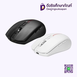 เมาส์ไร้สาย WM-120 SIGNO