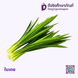 ใบเตย