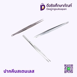 ปากคีบสเตนเลส