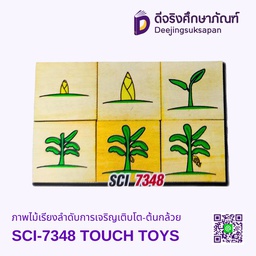 [SCI-7348] ภาพไม้เรียงลำดับการเจริญเติบโต-ต้นกล้วย SCI-7348 TOUCH TOYS