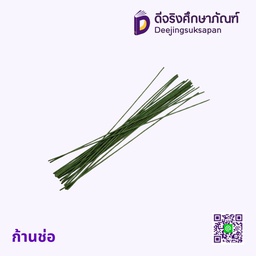 ก้านช่อ