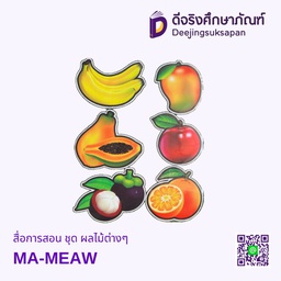 สื่อการสอน ชุด ผลไม้ต่างๆ MA-MEAW