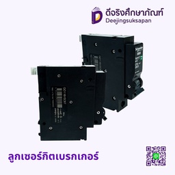 ลูกเซอร์กิตเบรกเกอร์