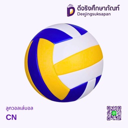 ลูกวอลเล่บอล DJ
