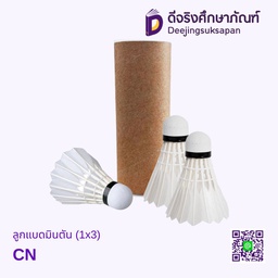 ลูกแบดมินตัน DJ